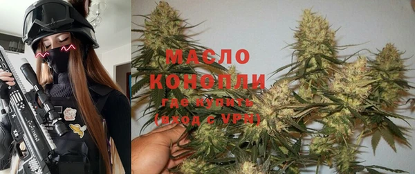 дживик Абинск