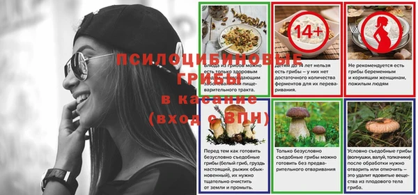 скорость Пересвет
