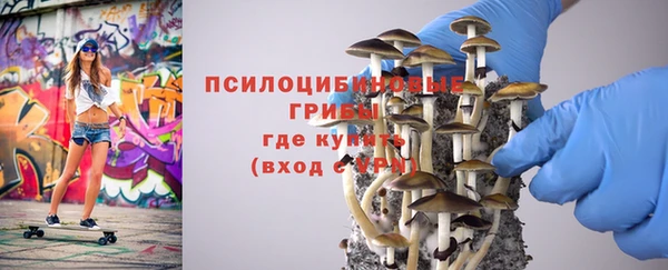 герыч Осинники