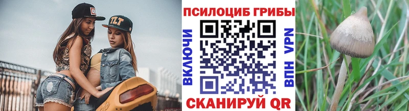Псилоцибиновые грибы GOLDEN TEACHER  купить  сайты  Красновишерск 